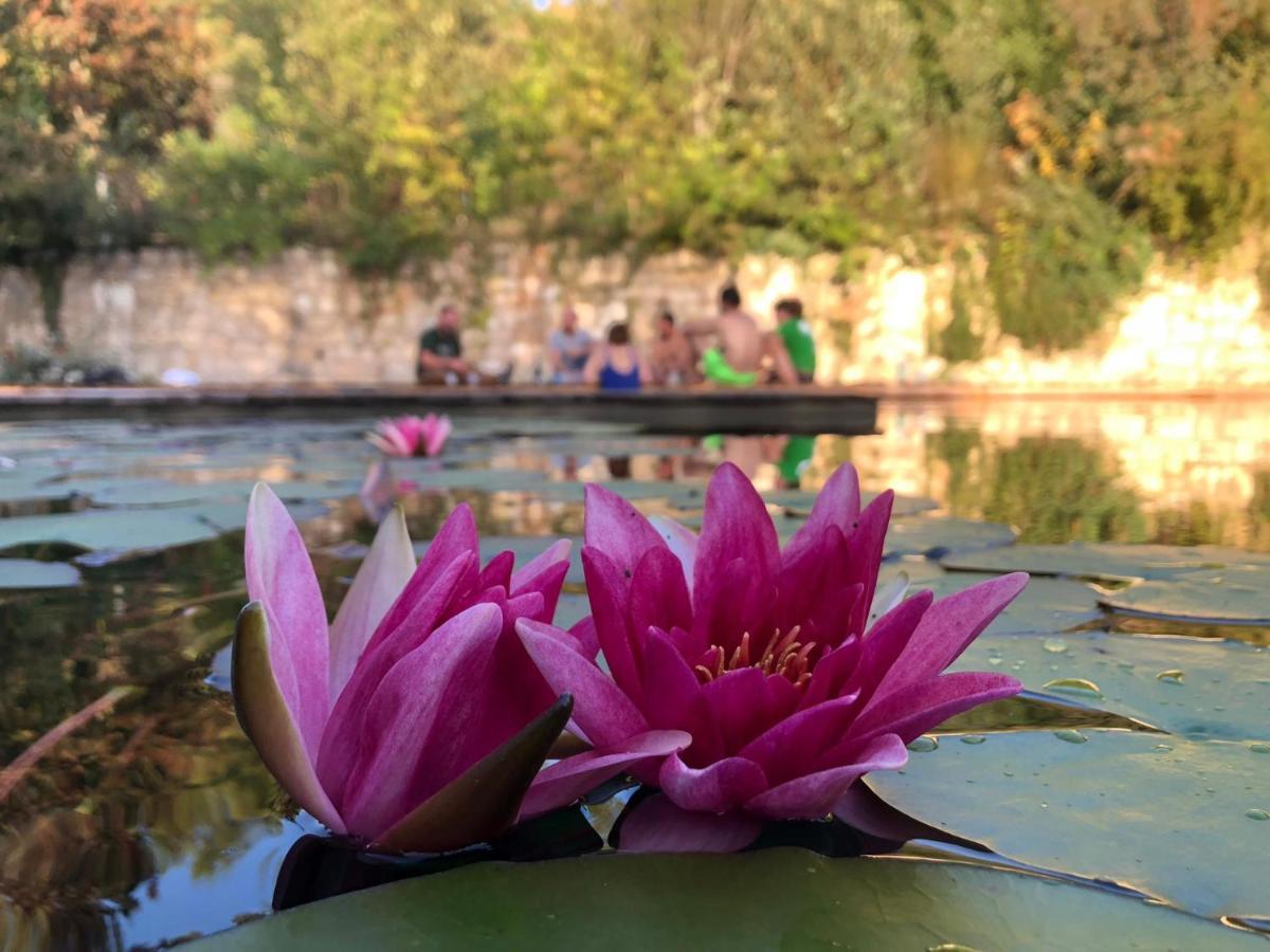 Grand Gite Les Cabanes De Fallot Pour 19 Personnes - Piscine Naturelle L'isle-Bouzon ภายนอก รูปภาพ